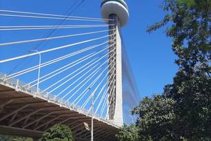 Teresina celebra 174 anos com programação cultural e artística; confira