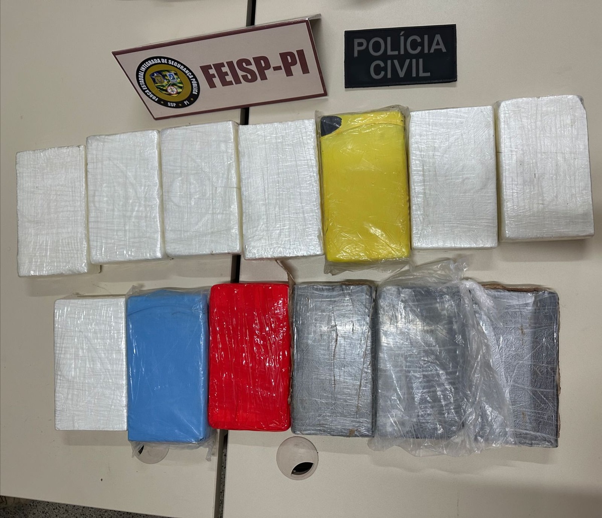 Polícia Civil do Piauí prende caminhoneiro com 13 Kg de cocaína