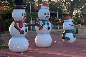 Natal dos Sonhos: Parque da Cidadania terá máquina de neve gratuita para as crianças (Foto: Divulgação)