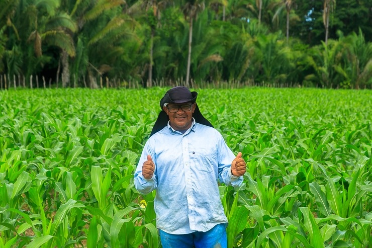 Programa de Distribuição de Sementes em Timon impulsiona agricultura local