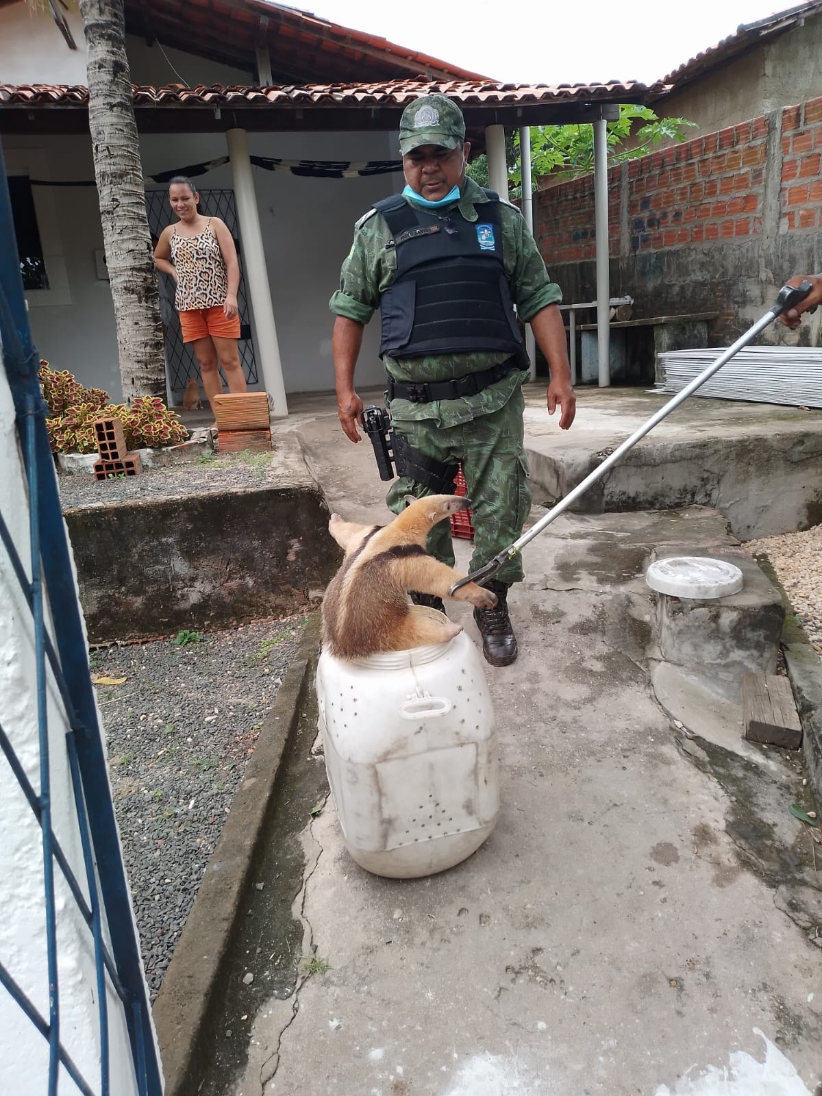 Batalhão de Polícia Ambiental realiza resgate de animais silvestres em Teresina