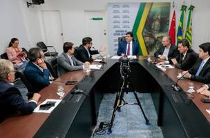 Governador e Grupo Tomazini discutem instalação de agroindústria em Uruçuí (Foto: Divulgação)