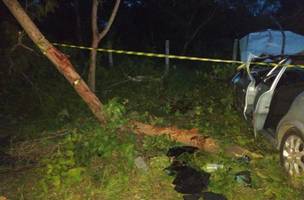 Idoso de 64 anos morre em acidente na BR 343 (Foto: Divulgação)