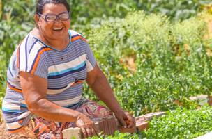 Programa de Aquisição de Alimentos beneficiou mais de 30 mil agricultores familiares no Piauí (Foto: Divulgação)