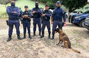 Guarda Municipal integra operação em presídios na Grande Teresina (Foto: Divulgação)