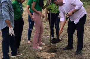 Semam planta novo bosque na alça da Ponte JK ﻿em parceria com o Lions Clube (Foto: Divulgação)