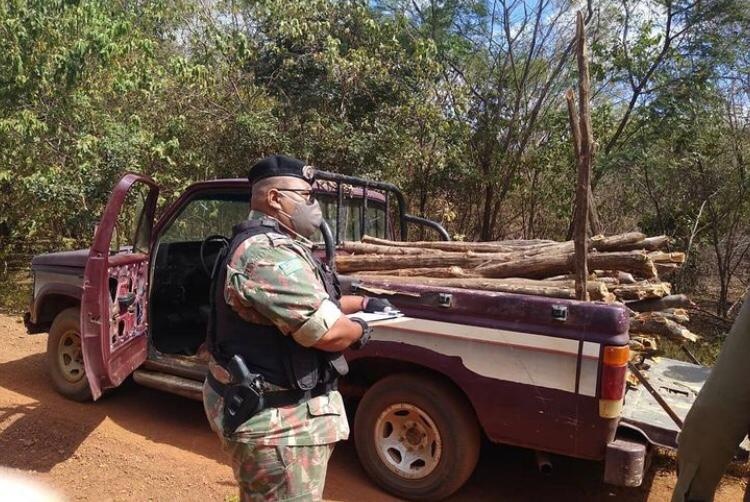 Batalhão da Polícia Ambiental atinge marca de mil TCO’s registrados em todo Piauí