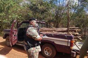 Batalhão da Polícia Ambiental atinge marca de mil TCO’s registrados em todo Piauí (Foto: Divulgação)