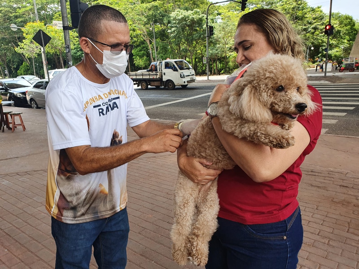 FMS vacinou quase 2 mil animais após caso de sagui com raiva