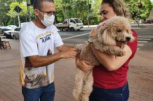 FMS vacinou quase 2 mil animais após caso de sagui com raiva (Foto: Divulgação)