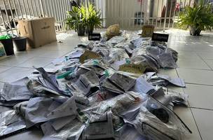 Dia Internacional Contra o Abuso e o Tráfico de Drogas celebrado na data de hoje. (Foto: Divulgação)