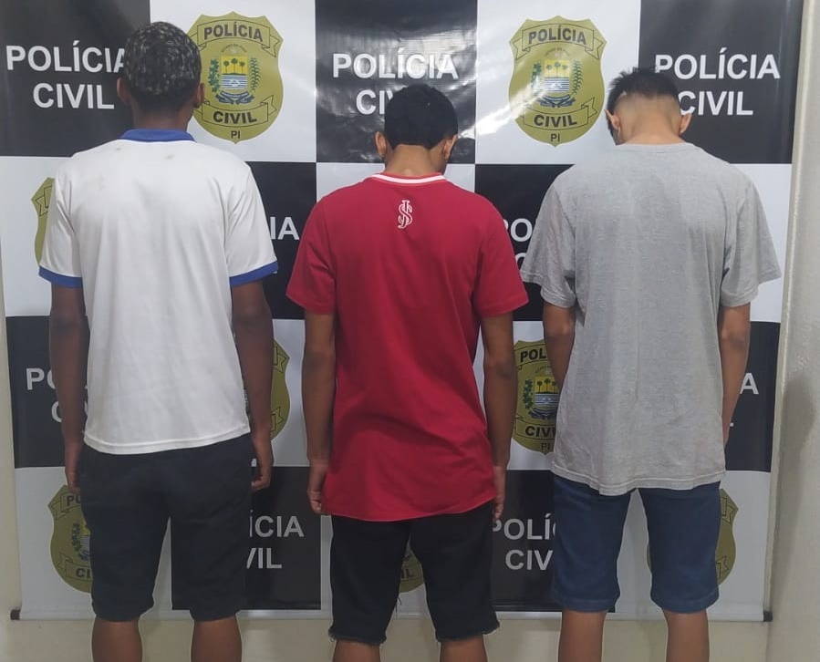 Polícia Civil cumpre mandados por roubos de veículos na capital