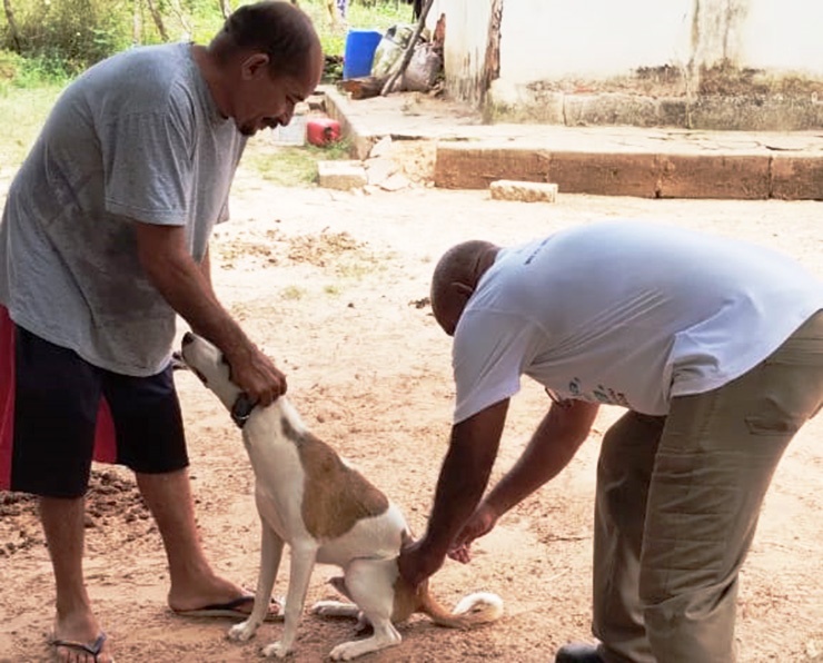 Vacinação Antirrábica continua na zona Rural de Timon neste sábado e domingo, 22 e 23 de julho