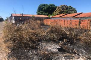 Defesa Civil alerta para os perigos das queimadas em Teresina (Foto: Divulgação)