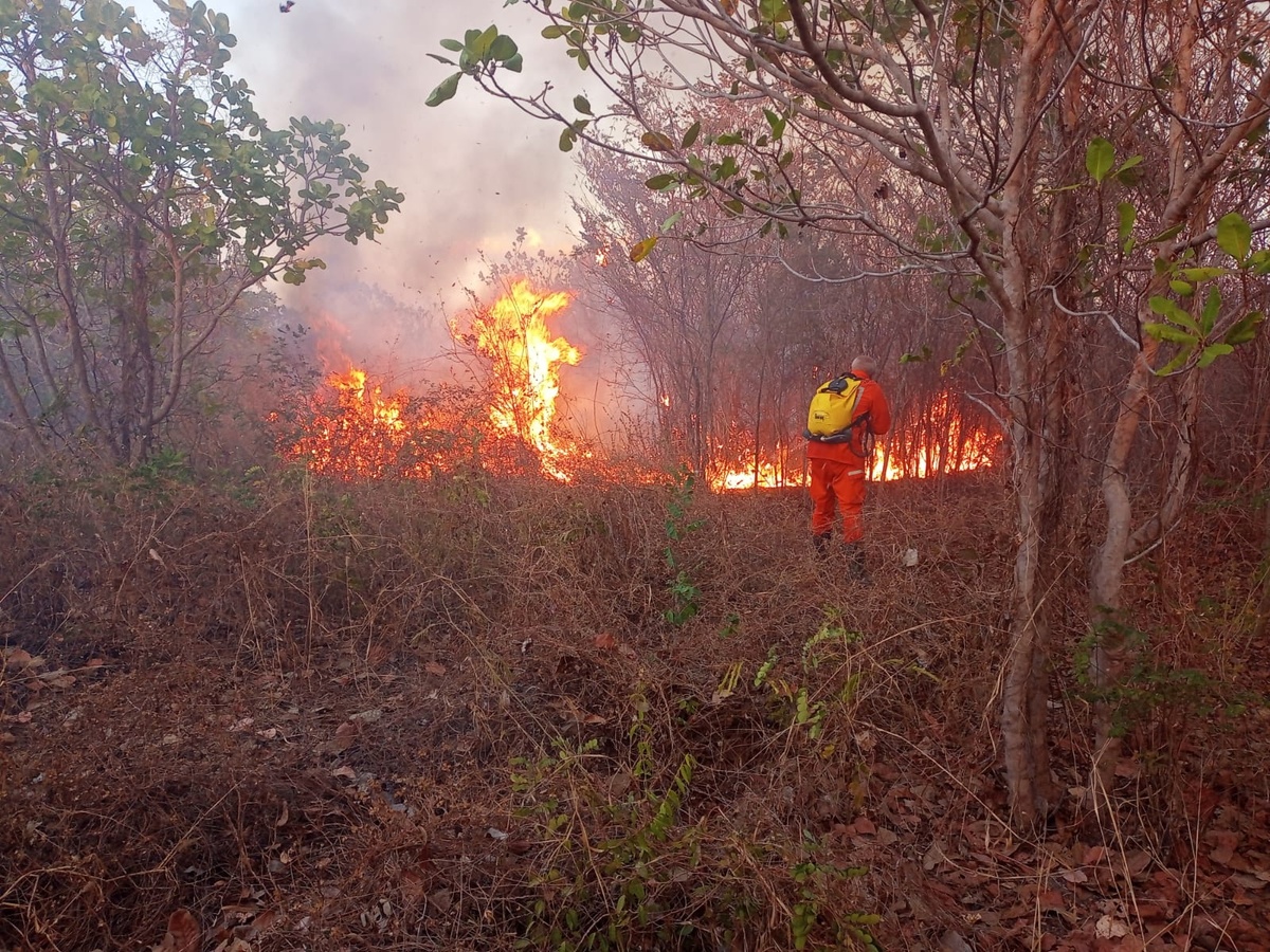 Incêndio de grandes proporções em Canto do Buriti é controlado