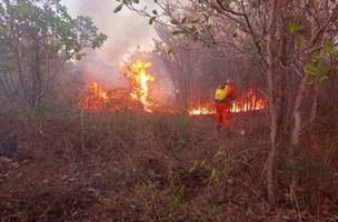 Incêndio de grandes proporções em Canto do Buriti é controlado (Foto: Divulgação)