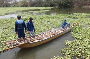 Prefeitura de Teresina inicia operação para o controle de aguapés no Rio Poti (Foto: Divulgação)