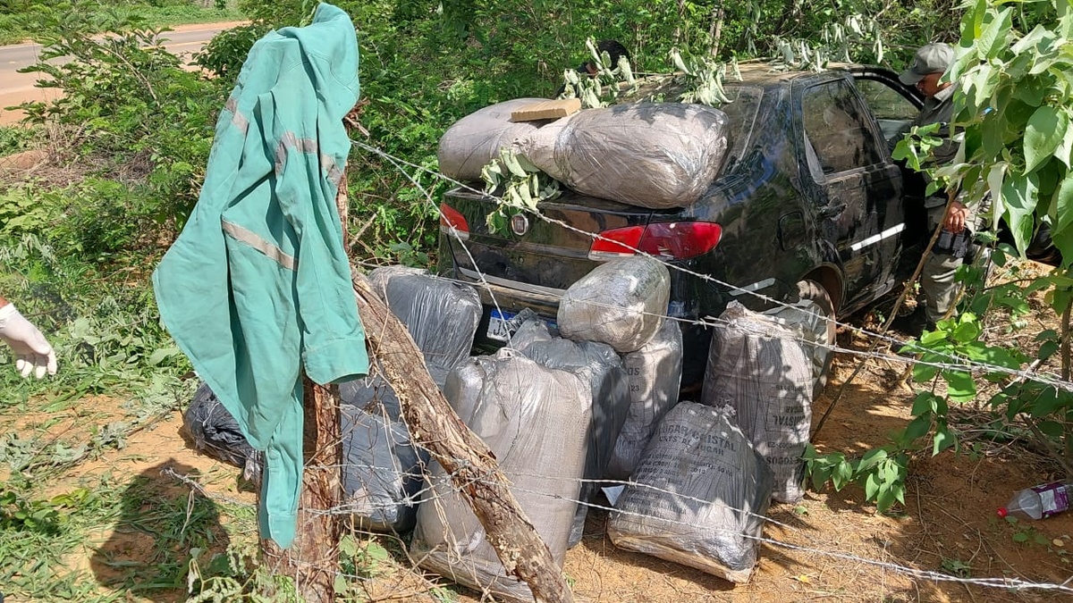 Polícia Militar apreende grande quantidade de drogas em povoado de São Raimundo