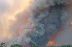 Ainda não há informações sobre o que teria provocado o fogo. (Foto: Divulgação)