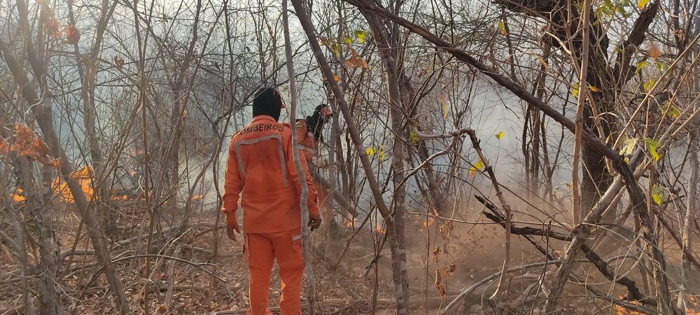 Incêndios no Piauí