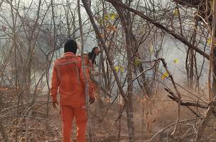 Incêndios no Piauí (Foto: Divulgação)