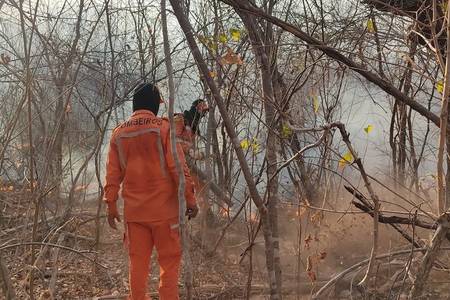 Bombeiros já combateram mais de 300 incêndios em Teresina