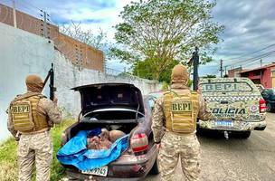 PMPI encontra arma de fogo e animais abatidos em interior de veículo (Foto: Divulgação)