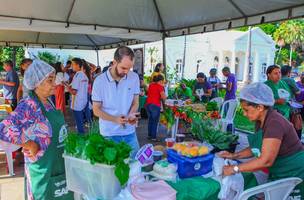 SAF realiza Quitanda da Agricultura Familiar no Palácio de Karnak nesta quinta (Foto: Divulgação)