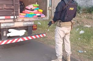 PRF prende dupla e apreende quase 30,0 kg de maconha no Piauí (Foto: Divulgação)