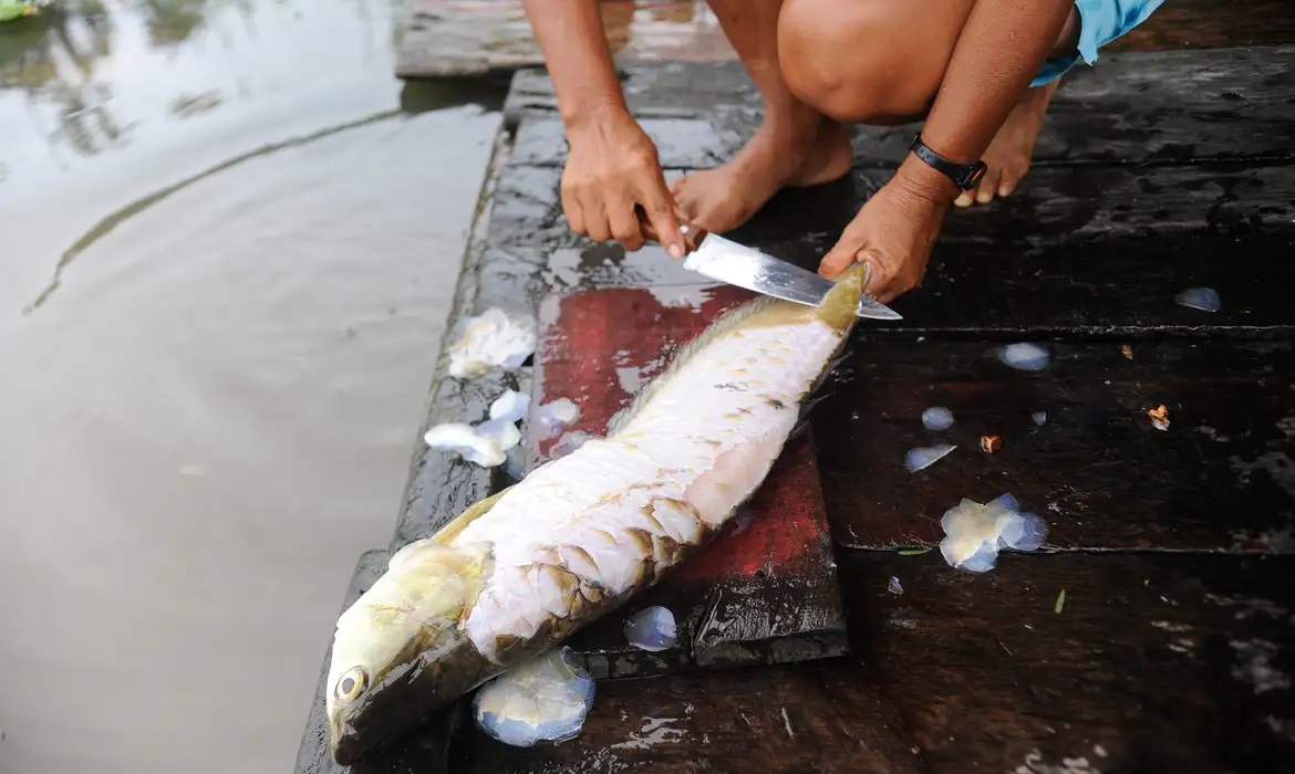 Semarh fiscaliza pesca ilegal no período do piracema no Piauí