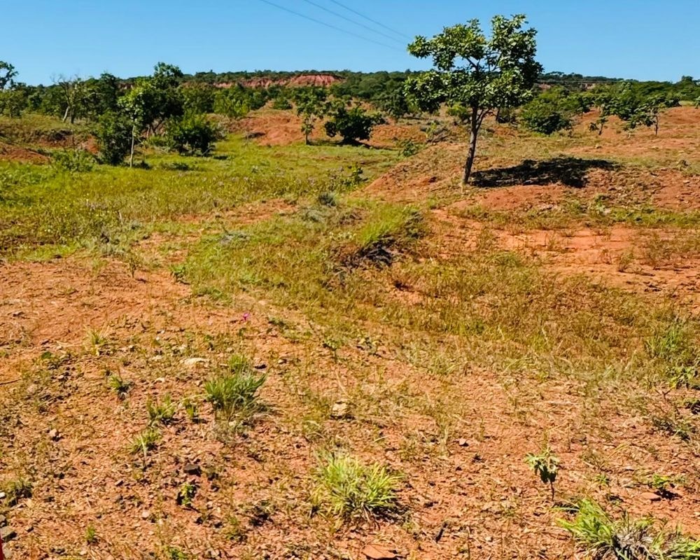 Semarh lança cartilha sobre desertificação e áreas degradadas no Piauí na sexta (8)