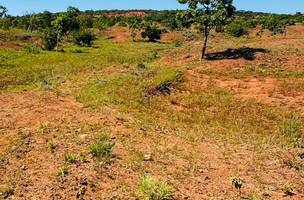 Semarh lança cartilha sobre desertificação e áreas degradadas no Piauí na sexta (8) (Foto: Divulgação)