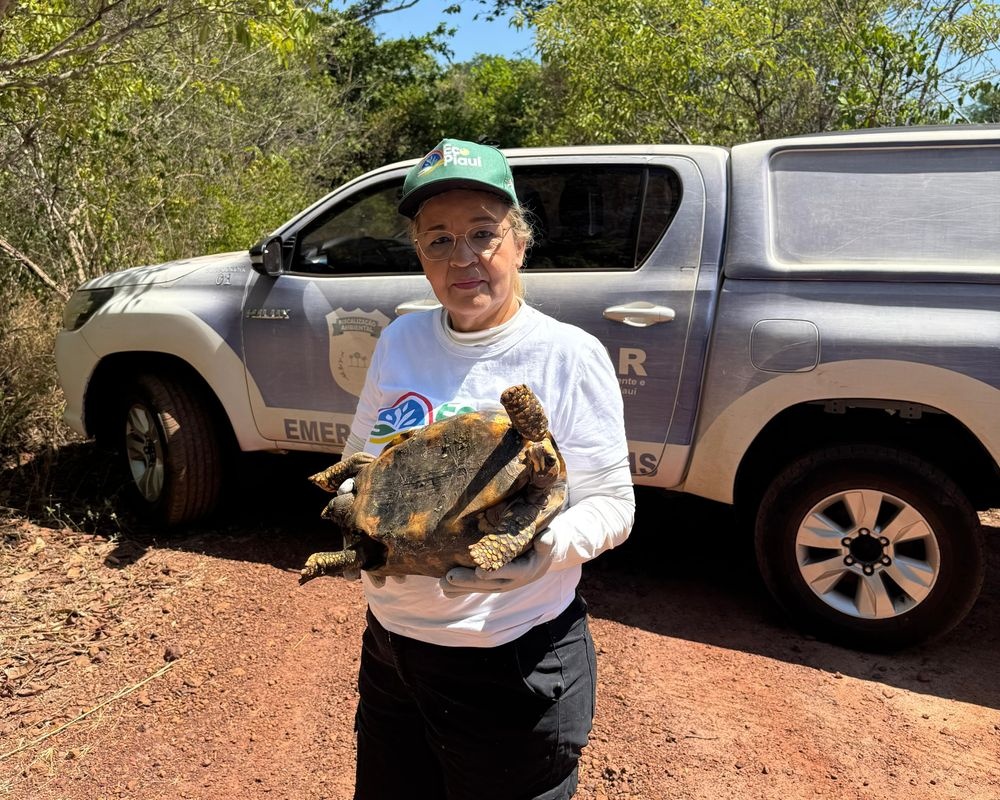 Semarh realiza a soltura de animais silvestres em José de Freitas