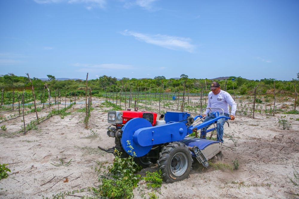 Quase 7 mil famílias de agricultores saíram da linha de pobreza no Piauí