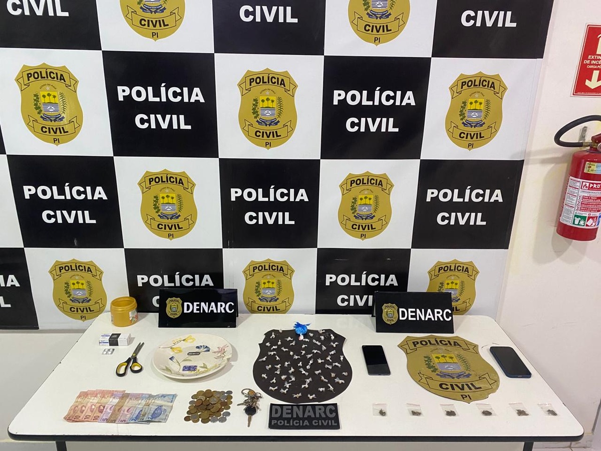 Operação da Polícia Civil cumpre mais de 30 mandados em Teresina