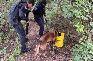 Operação do Draco prende “Vovó do Tráfico”na zona Sul de Teresina (Foto: Divulgação)