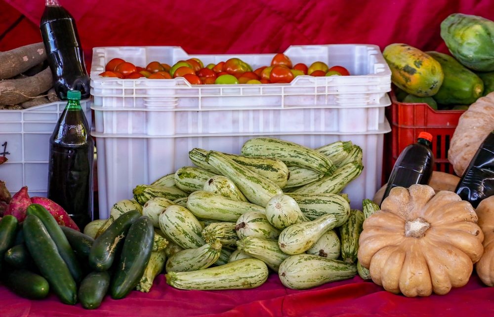 SAF entrega mais de 3 toneladas de alimentos para cinco cozinhas comunitárias