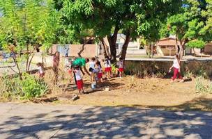 CMEI realiza "Projeto Plantando Ideias e Colhendo Flores" em praça (Foto: Divulgação)