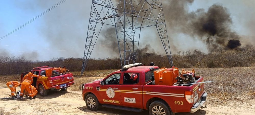 Bombeiros e brigadistas combatem incêndio florestal em Pedro Laurentino