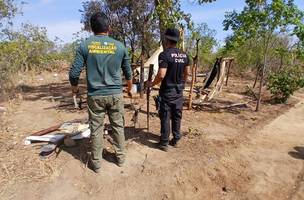 Equipes intensificam combate a incêndios criminosos no Cerrado piauiense (Foto: Divulgação)