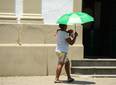 PMT oferece R$ 20 mil por projeto para enfrentar calor em Teresina