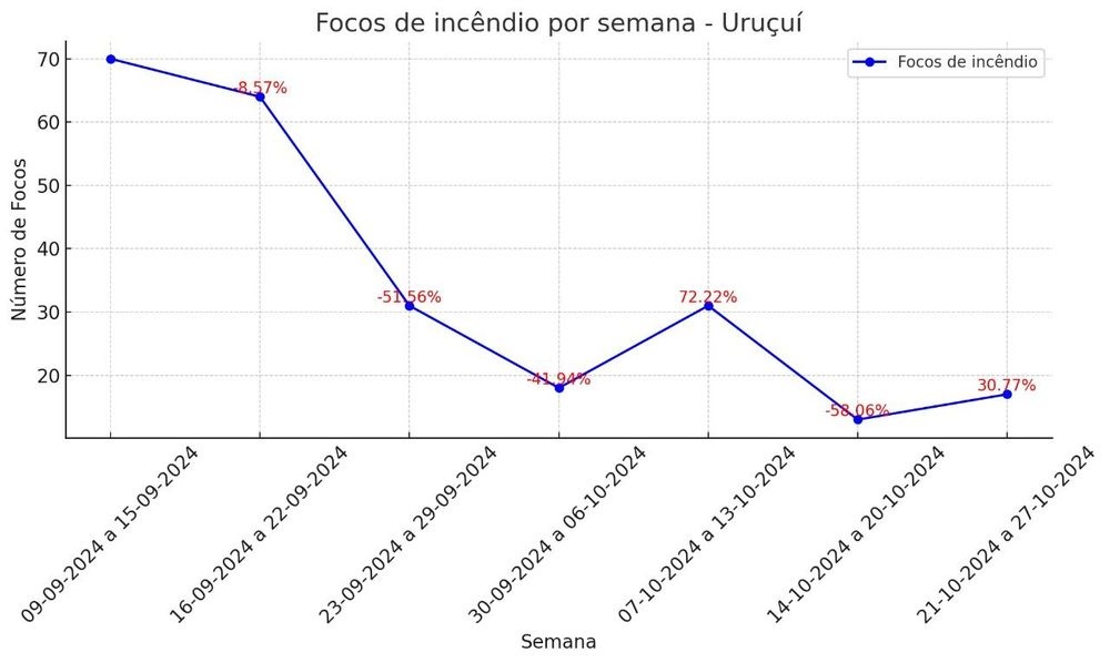 Semarh aponta diminuição de 47% dos incêndios florestais no mês de setembro em comparação a 2023