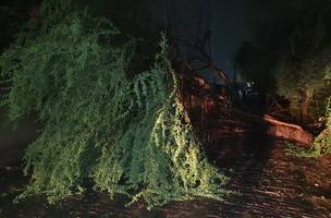 Defesa Civil presta assistência a família após forte chuva na zona Sudeste (Foto: Divulgação)