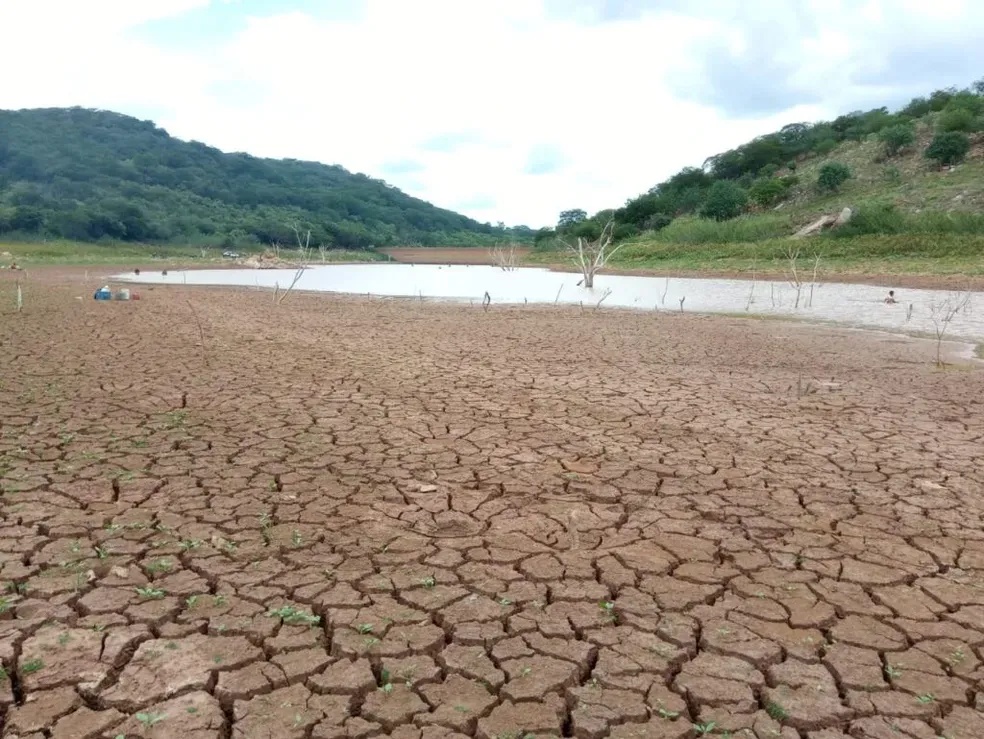 Piauí decreta situação de emergência em razão da seca em 82 municípios