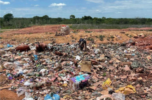 Prefeitos se comprometem a erradicar lixões e regularizar situação de catadores (Foto: Divulgação)