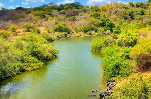Desmatamento ilegal no Piauí registra queda de 67,9% no primeiro semestre (Foto: Divulgação)