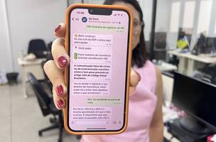 Em quatro meses, B.O Fácil registra mais de 36 mil atendimentos (Foto: Divulgação)