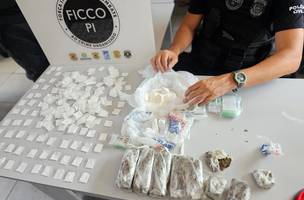 FICCO/PI deflagra segunda fase de operação contra o tráfico de drogas (Foto: Divulgação)