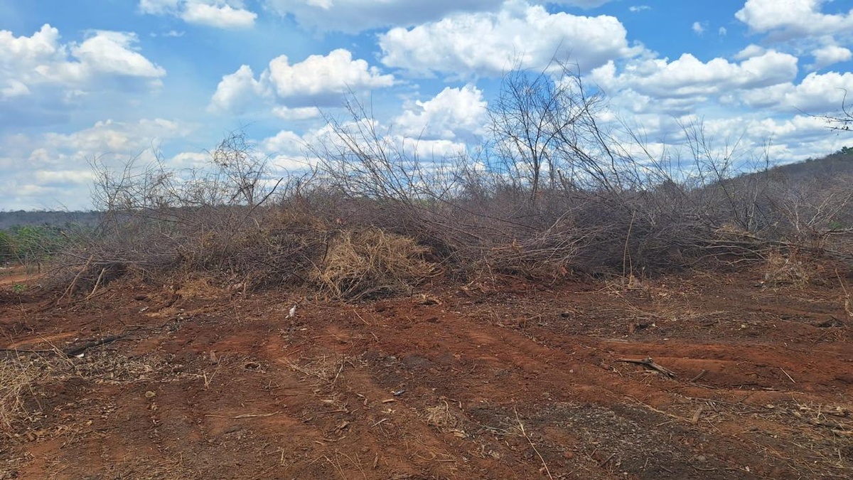 Polícia Militar Ambiental impede queimada ilegal no interior do Piauí