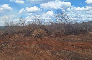 Polícia Militar Ambiental impede queimada ilegal no interior do Piauí (Foto: Divulgação)
